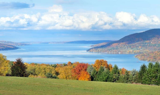 Embracing Autumn's Magic in the Finger Lakes: A Sweet Adventure